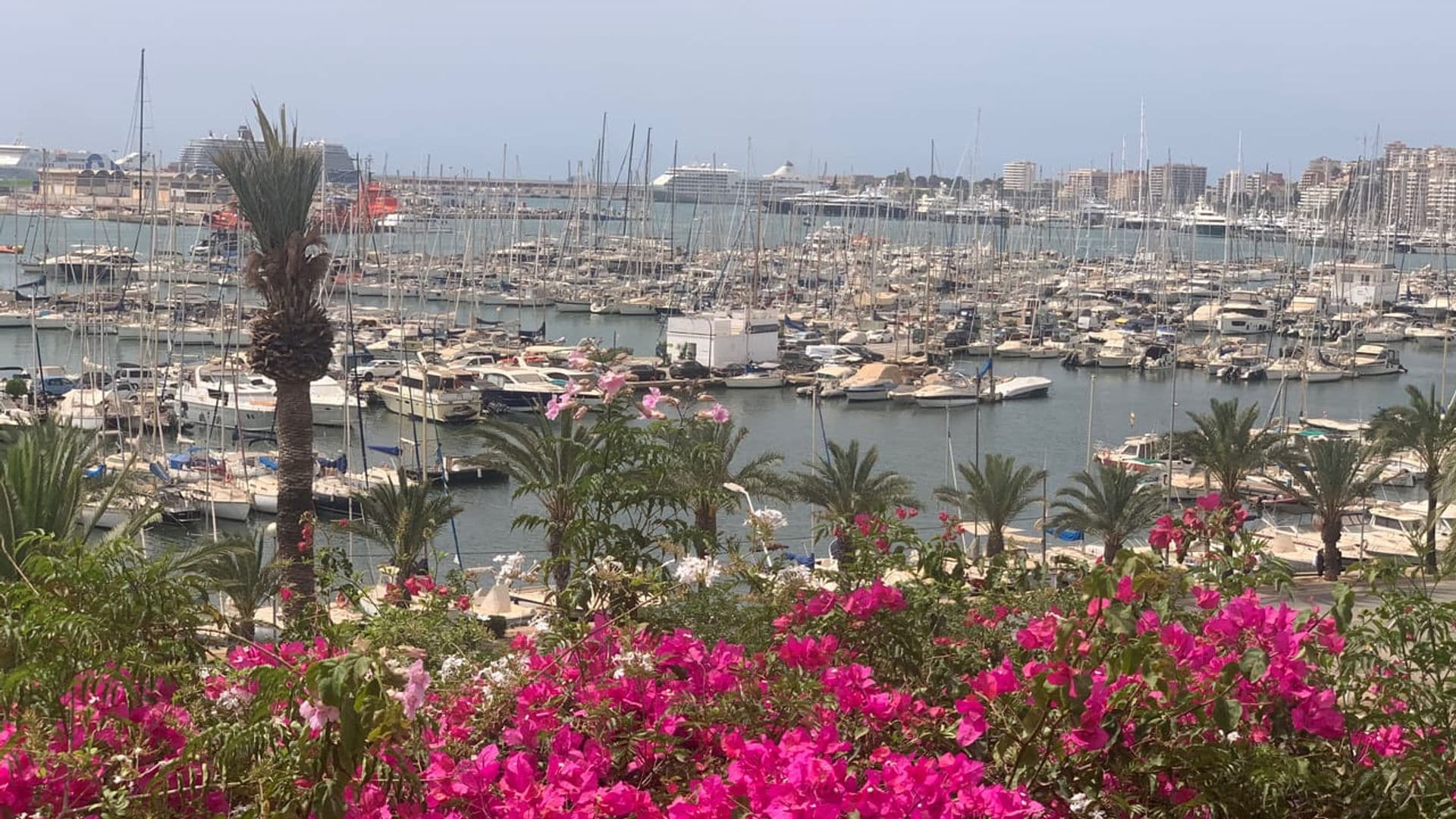 Fisherman's House in Santa Catalina